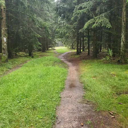 Am Soonwald * Ellern