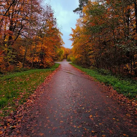 Am Soonwald
