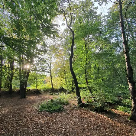 Apartament Am Soonwald