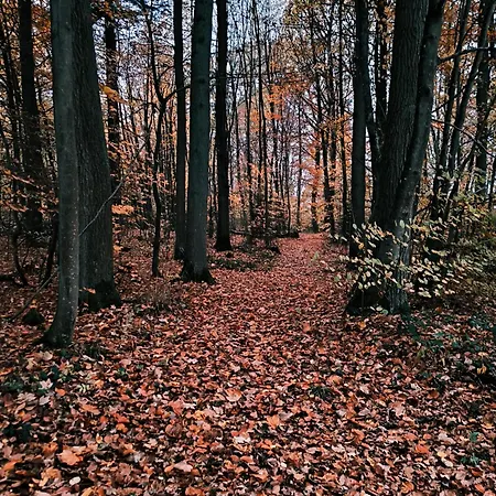Apartament Am Soonwald *